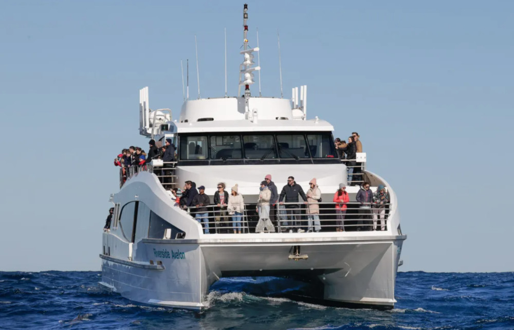 Fantasea Cruises