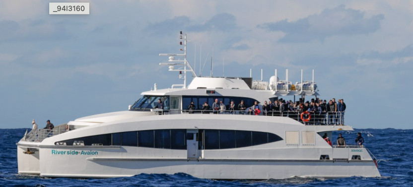 Boxing Day Cruise: Sydney to Hobart Yacht Race from Manly