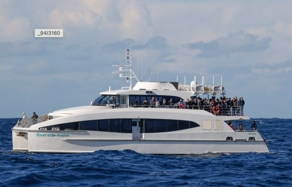 Boxing Day Sydney to Hobart Yacht Race Cruise from Manly
