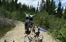 Alaska Snowbird Tours LLC12