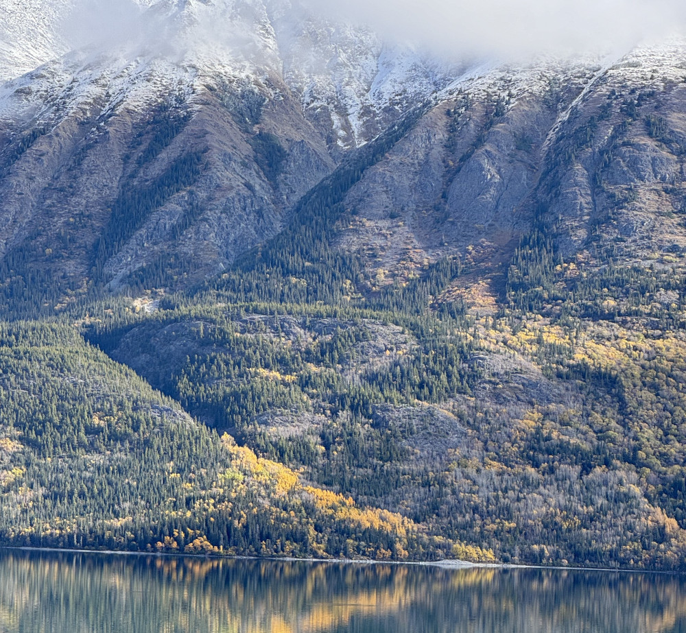 Alaska Snowbird Tours LLC