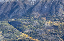 Alaska Snowbird Tours LLC14