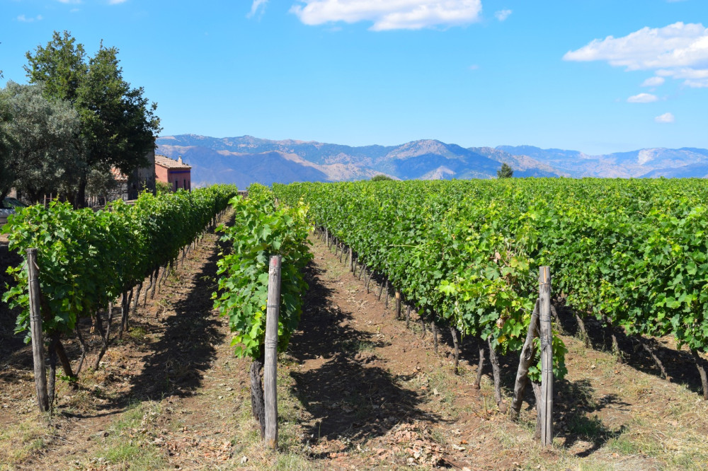 Sicily Excursions by Noema Viaggi - Day Tours