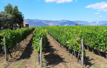 Sicily Excursions by Noema Viaggi - Day Tours2