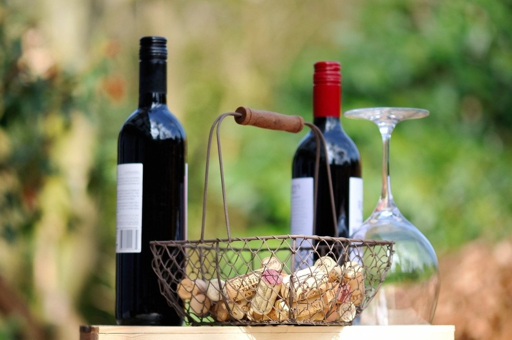 Sicily Excursions by Noema Viaggi - Day Tours