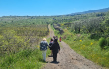 Sicily Excursions by Noema Viaggi - Day Tours5