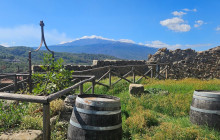 Sicily Excursions by Noema Viaggi - Day Tours8