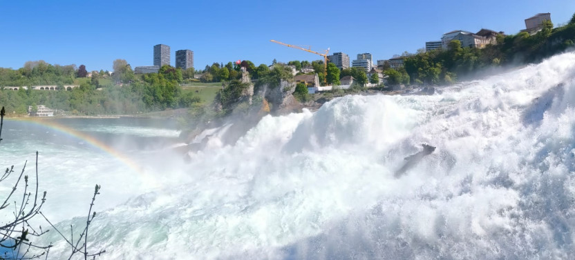 Private Rhine Falls Tour