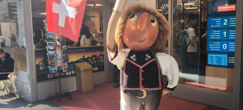 Private Lucerne and The Mountains of Central Switzerland Tour