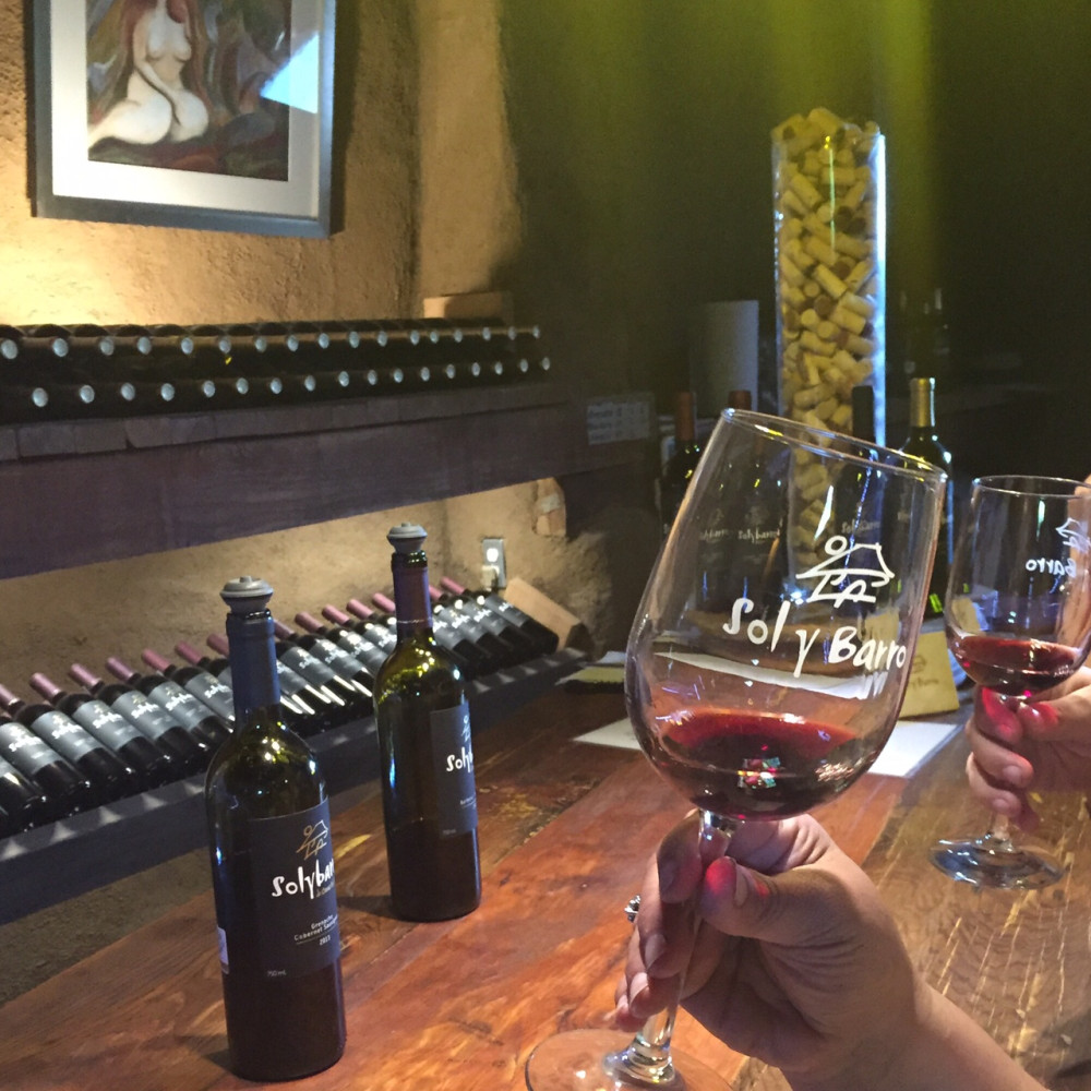 The Wine Route