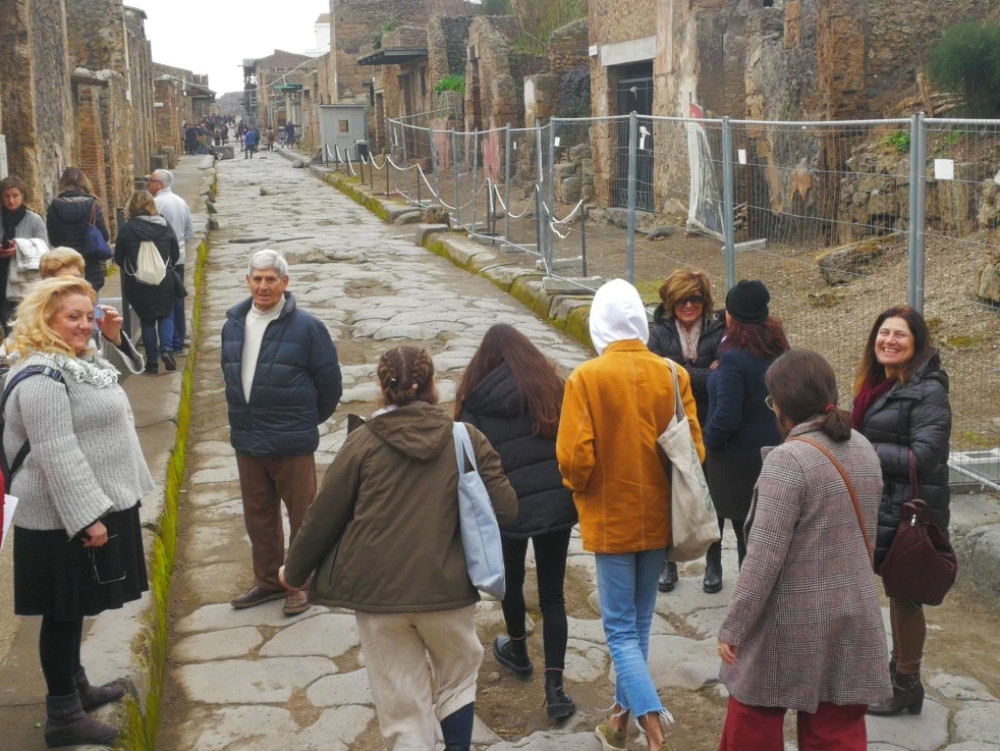 Naples Views, Pompeii or Herculaneum & Vesuvio Winery
