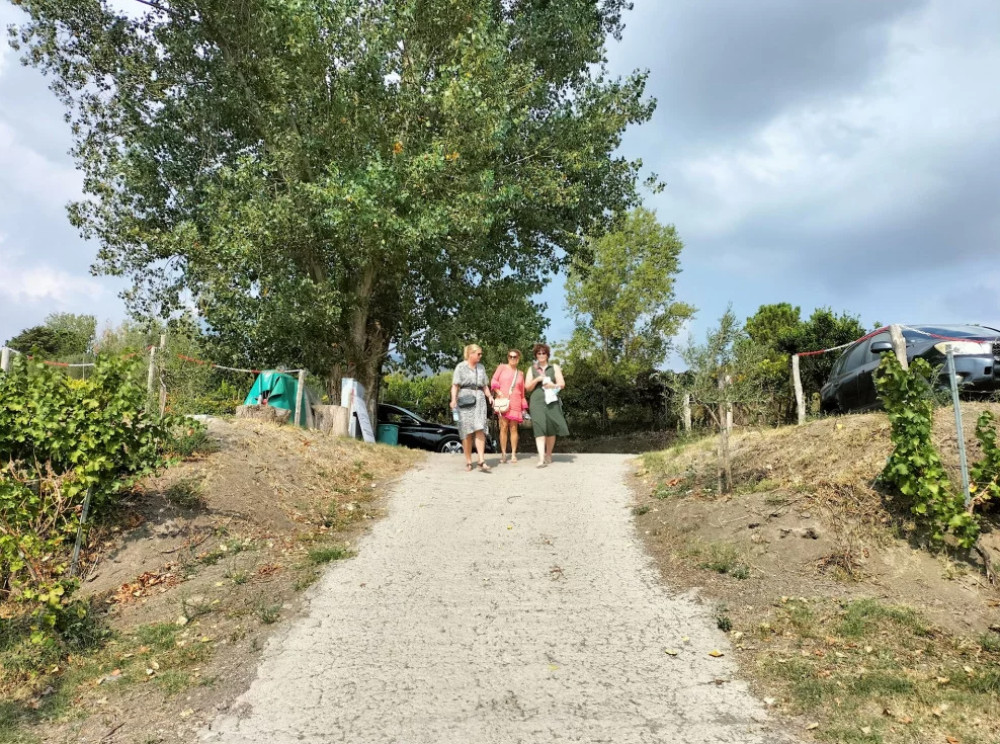 Full-Day Tour of Ravello, Amalfi & Cantina del Vesuvio from Naples