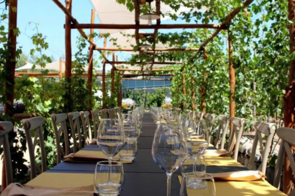 Full-Day Tour of Pompeii, Oplontis & Cantina del Vesuvio Winery from Naples