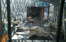 Amalfi Tour Campania5