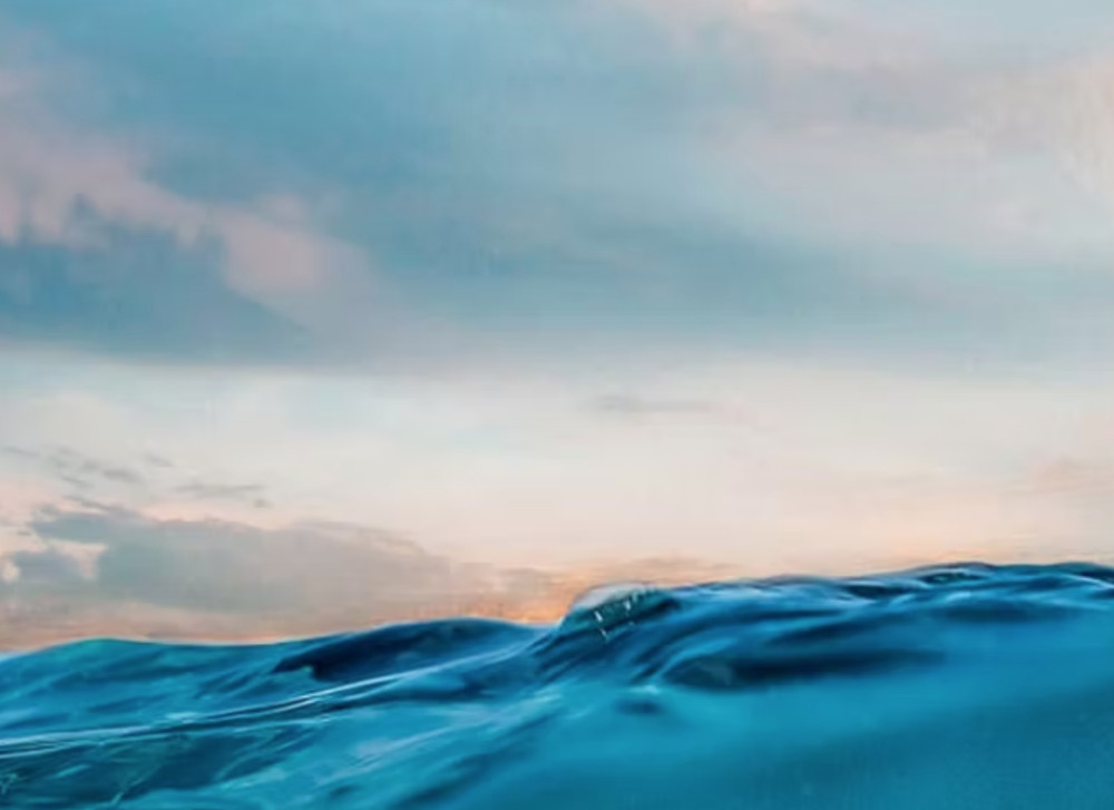 Honolulu Snorkel Company