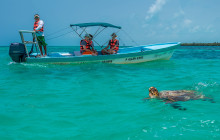 The Sailor Parrot Catamaran3