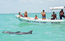 The Sailor Parrot Catamaran4