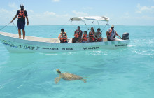 The Sailor Parrot Catamaran5
