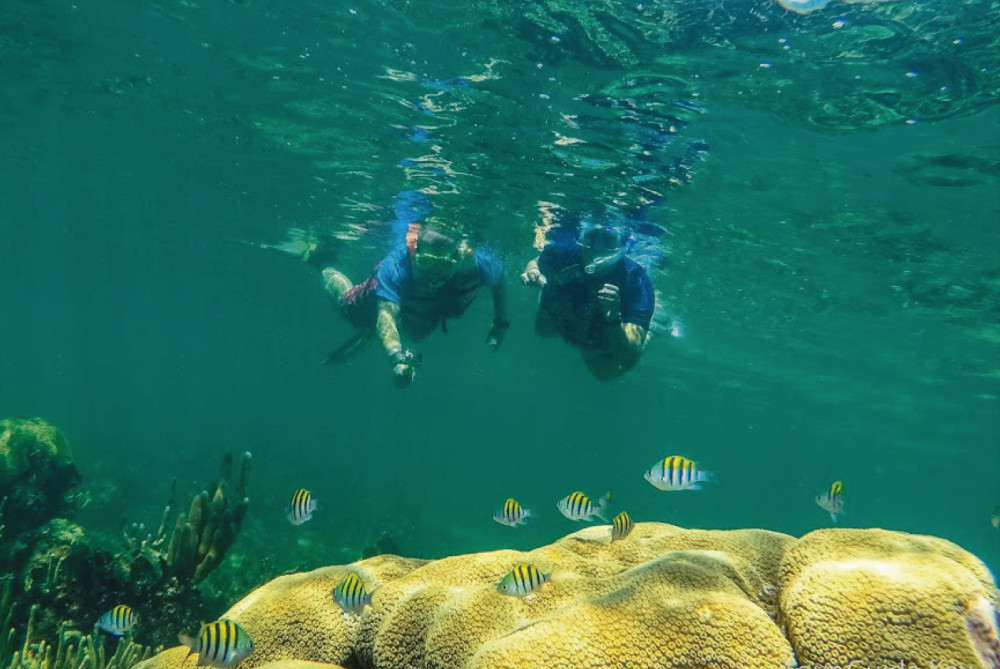 Pescado Adventures