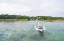 The Sailor Parrot Catamaran11