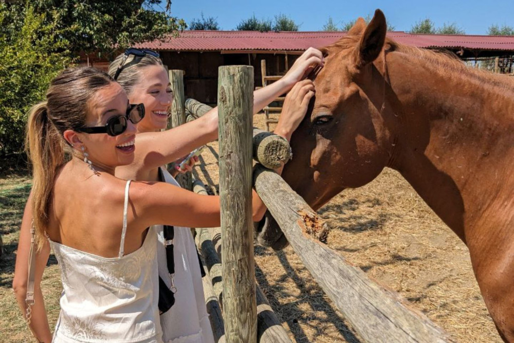 Tuscany Horseback Ride, Lunch, & Wine - Small Group