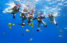 Ocean Joy Cruises13