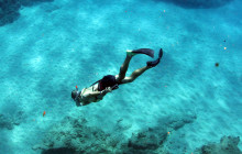 Ocean Joy Cruises11