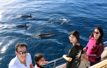 Ocean Joy Cruises13
