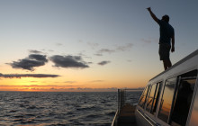 Ocean Joy Cruises11