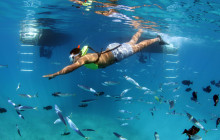 Ocean Joy Cruises11