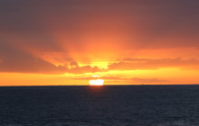 Ocean Joy Cruises15