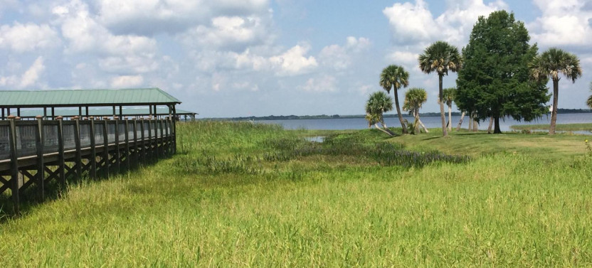 Airboat Ride at Wild Florida with Roundtrip Transportation