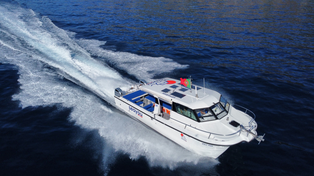 Private Catamaran Expedition to the Desertas Islands with Open Bar & Snacks