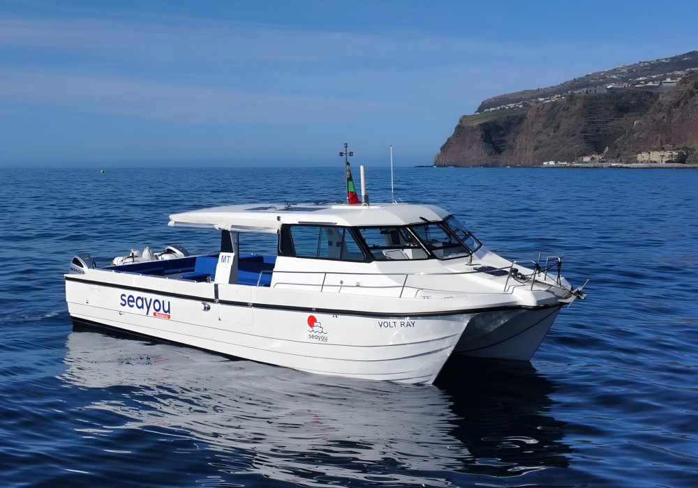Private Morning Cruise with Open Bar & Snacks