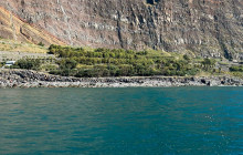 SeaYou Madeira9