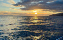 SeaYou Madeira17