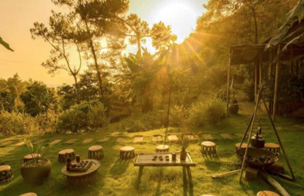 Peace In Every Step: Zen Meditation & Buddhist Retreat in Vietnam