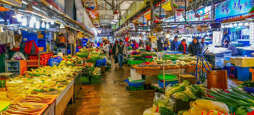 Private Tour Explore Jeju Island Cuisine and City From Cruise Terminal