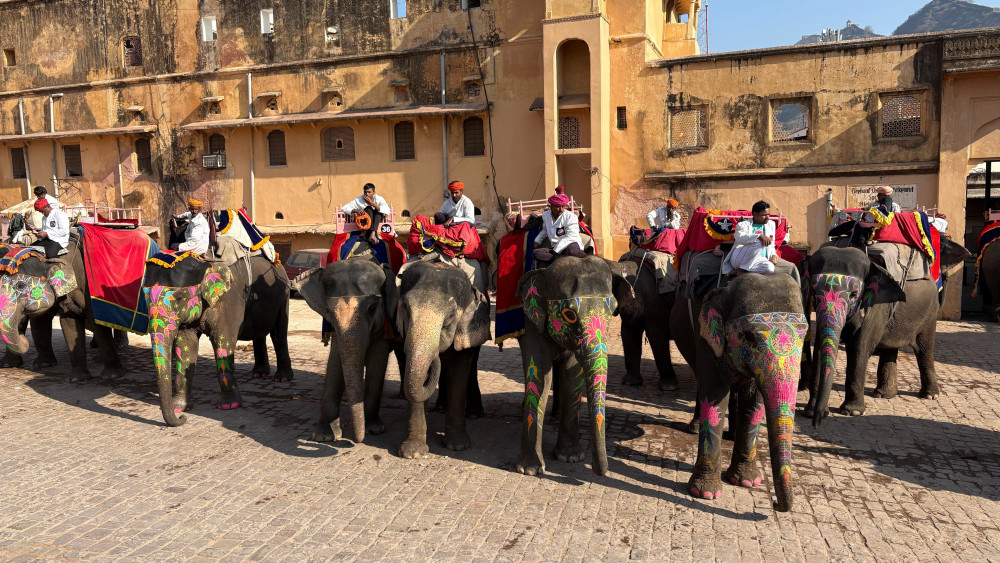 4-Day Golden Triangle Cultural Highlights Tour of Delhi, Agra & Jaipur