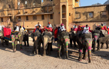 Taj Voyages Tour India1