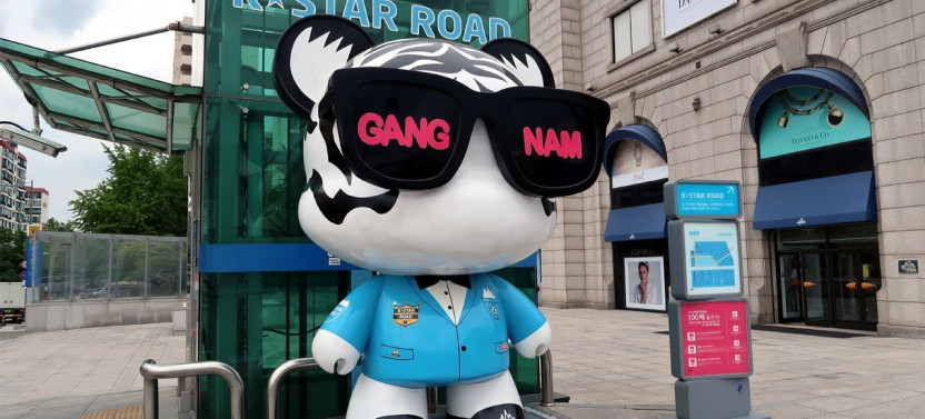 Private Tour Visit K-Pop Road Seoul and Pokemon Store
