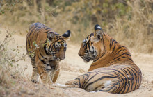 Taj Voyages Tour India1