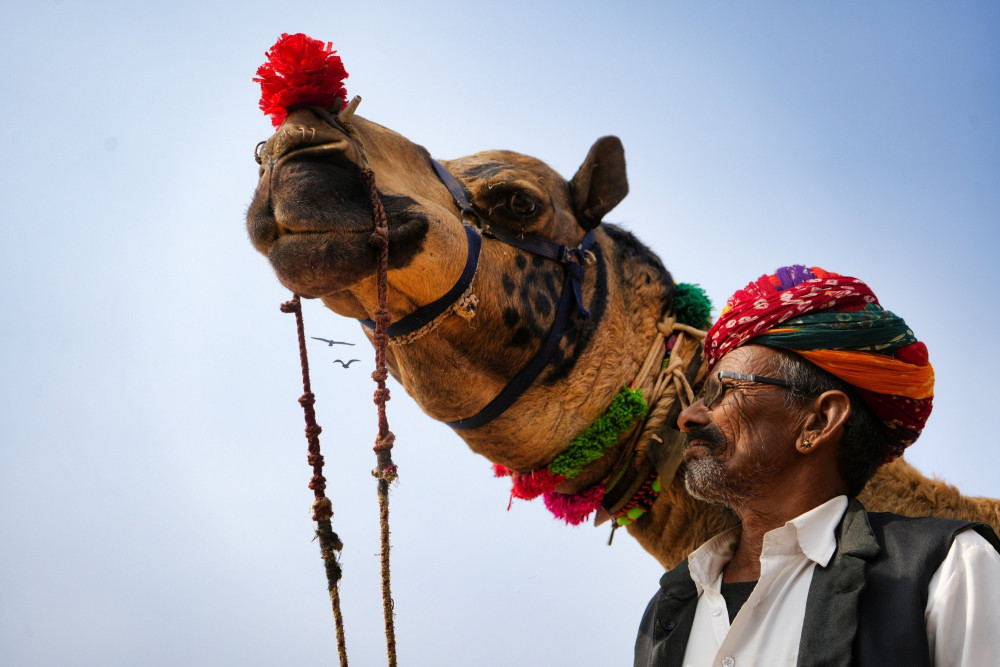 4-Day Heritage Forts, Palaces & Desert Adventure Tour in Rajasthan