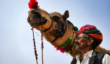 A picture of 4-Day Heritage Forts, Palaces & Desert Adventure Tour in Rajasthan