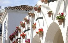 YANNAT.COM6