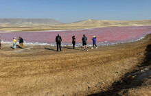 Like Xplorer Peru8
