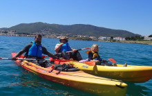 Catalands17