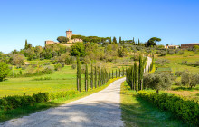 Bespoke Tuscany179