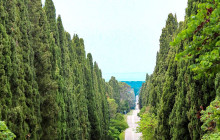 Bespoke Tuscany184