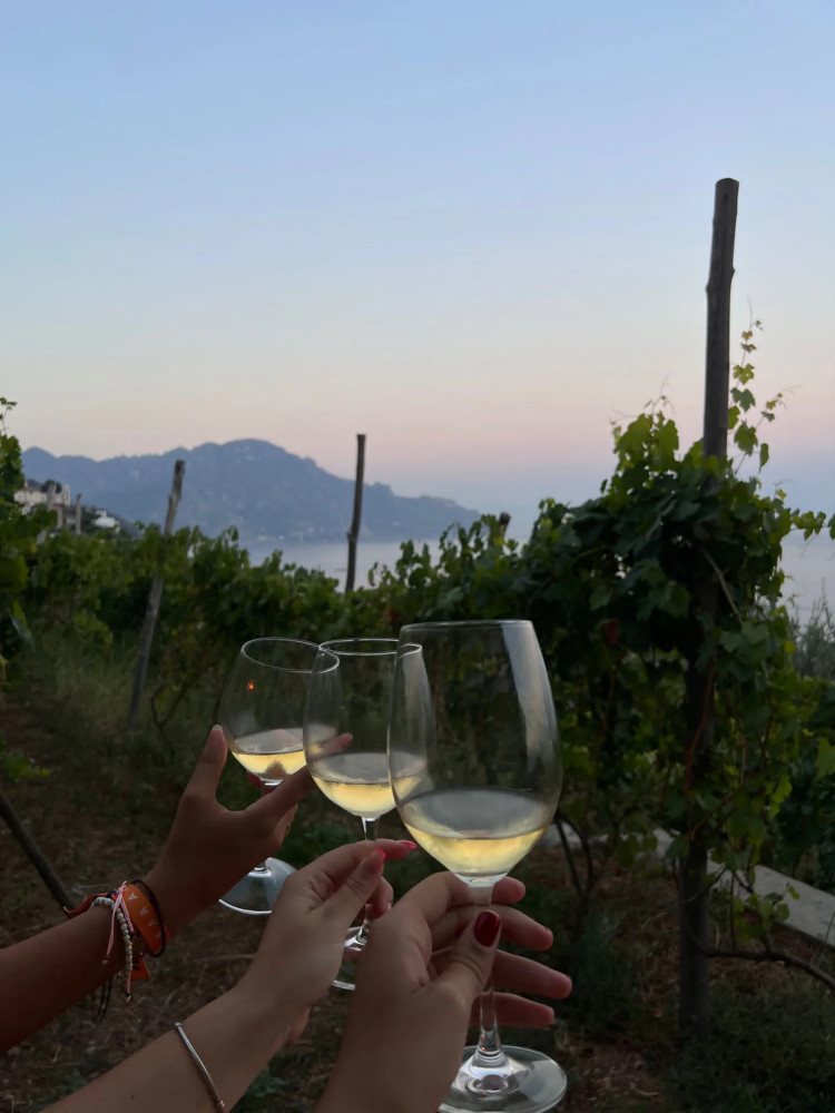Panoramic Terrace Tour & Wine Tasting in Amalfi